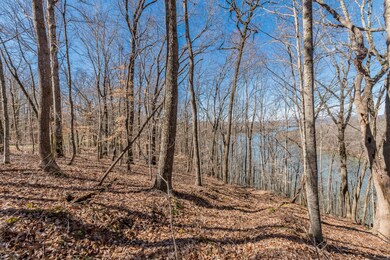 2738 W Gallaher Ferry Rd, Knoxville, TN 37932 - photo 4