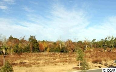Lot 5 Colony Club Dr, Georgetown, SC 29440 - photo 5