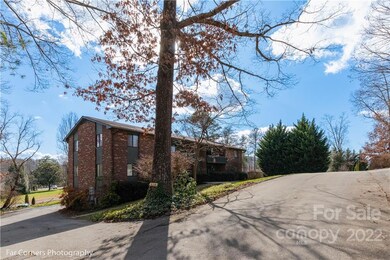 63 Ardis Ln unit D, Hendersonville, NC 28792 - photo 3
