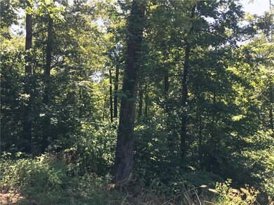 7 Cedars Ln, Bella Vista, AR 72715 - photo 7