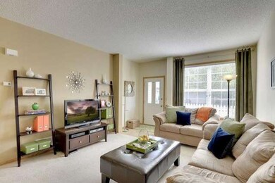 The detailed living room is exquisite with sunshin