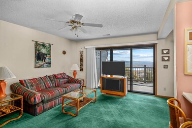 3 Treehouse Ln unit 2, Branson, MO 65616 - photo 6