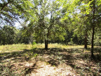 1038 Valley Rd, Crestview, FL 32539 - photo 7