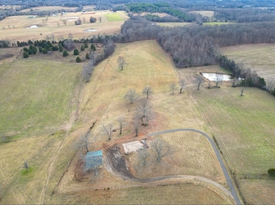 1038 Maple Valley Rd, Cumberland Furnace, TN 37051 - photo 3