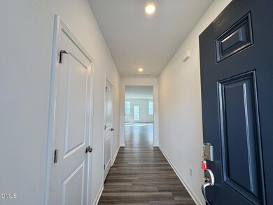 233 Lily Patch Ln, Smithfield, NC 27577 - photo 3