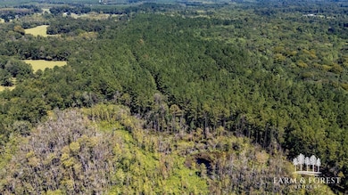 Coates Road (Off), Bonifay, FL 32425 - photo 5