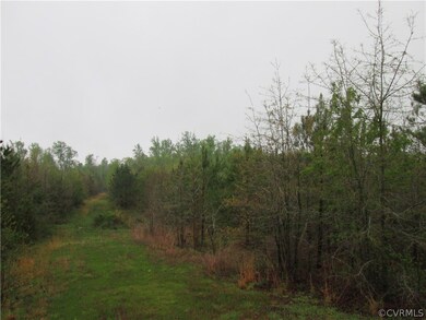 D3 Sunset Pasture Ln, New Kent, VA 23141 - photo 2