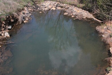 Pool in the creek