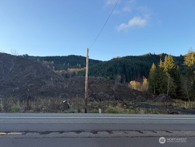0 U S 12, Glenoma, WA 98336 - photo 4