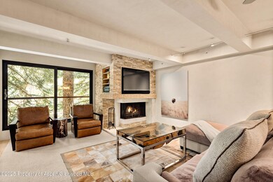 1034 E Cooper Ave unit 26A, Aspen, CO 81611 - photo 2
