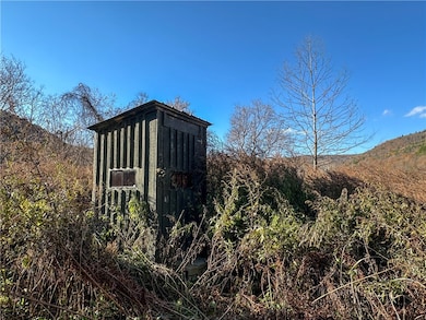 VL County Route 119 N, Cameron, NY 14819 - photo 7