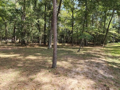 107 Sundew Ct, Magnolia, TX 77355 - photo 4