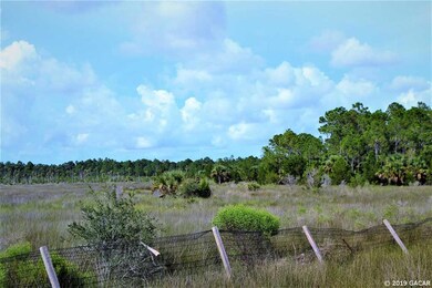00 Yates Creek Rd, Perry, FL 32348 - photo 7
