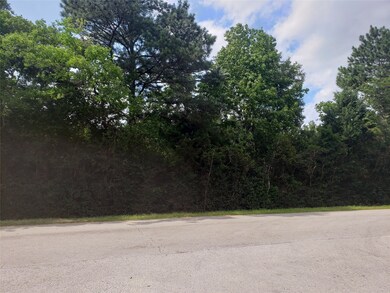 0 Carrell Lot 2 St unit 39857295, Tomball, TX 77375 - photo 7