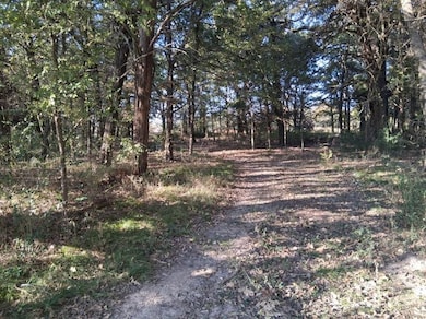 1071 Cr 2205, Ivanhoe, TX 75447 - photo 3