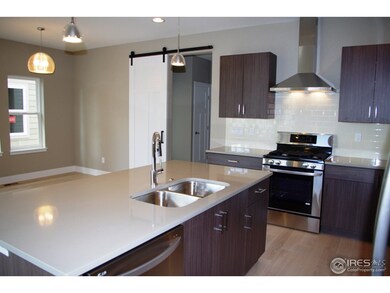 386 Cajetan St, Fort Collins, CO 80524 - photo 3