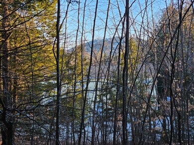 41-4 Tanner Way, Bridgton, ME 04009 - photo 2