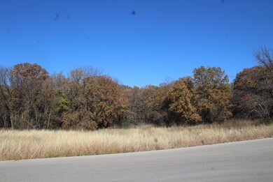 450 Rolling Hills Blvd, Alvord, TX 76225 - photo 4