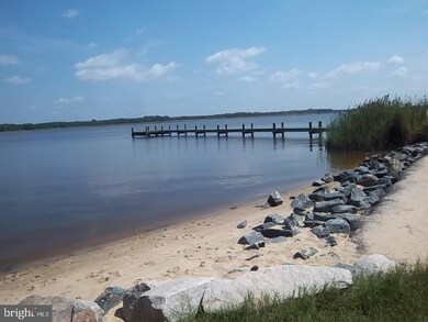 5022 Miles Creek Rd, Trappe, MD 21673 - photo 6