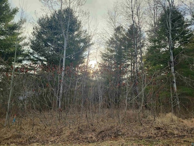 View of landscape