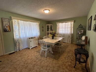 668 Union Hill Rd, Mammoth Spring, AR 72554 - photo 5