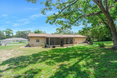32-web-or-mls-DSC01261