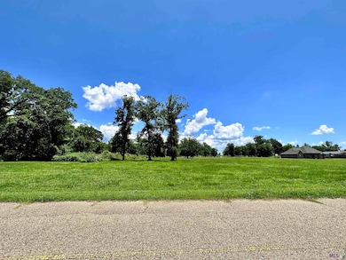 3224 Stanford Levy Rd, Darrow, LA 70725 - photo 5