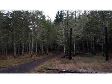 0 Violet Dr unit 100, Sheridan, OR 97378 - photo 2