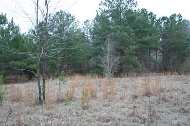 00 Highway 378, Lincolnton, GA 30817 - photo 3