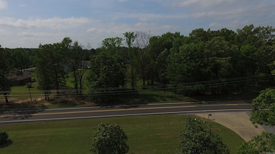 00 Hwy 321, Austin, AR 72007 - photo 3