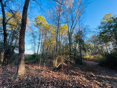 TBD Dinan Salem Rd, Tylertown, MS 39667 - photo 6