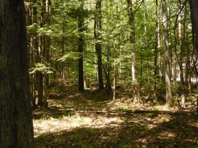 0 Pierce Ln unit 59, Westmoreland, NH 03467 - photo 7