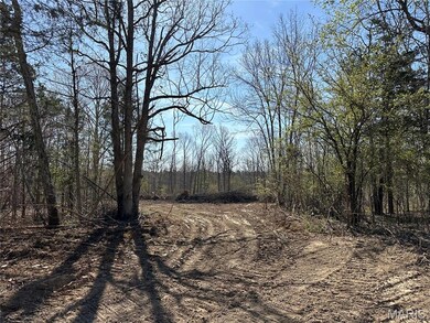 0 Highway B 51 unit MAR24075681, Ellington, MO 63638 - photo 7