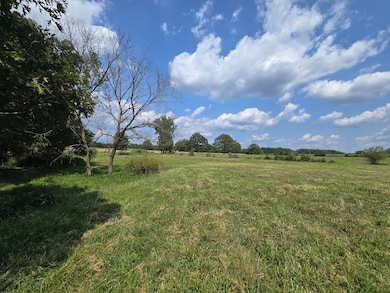 000 Highway 181, Cabool, MO 65689 - photo 4