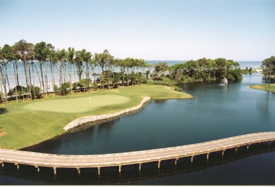 3rd Hole Palmer Golf Course