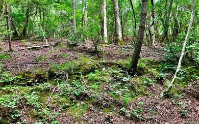 Additional View