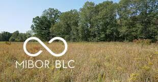 2400 E US Highway 36, Markleville, IN 46056 - photo 5