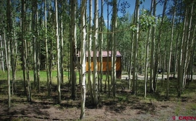 200 Hazel Lake Dr, Cimarron, CO 81220 - photo 3