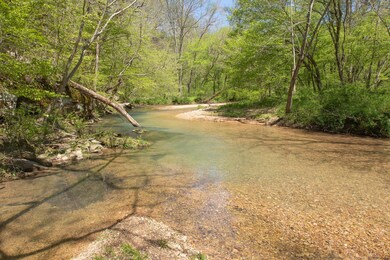 7262 Sinking Creek Rd, Linden, TN 37096 - photo 6