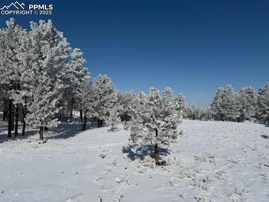 12196 Goodson Rd, Colorado Springs, CO 80908 - photo 2