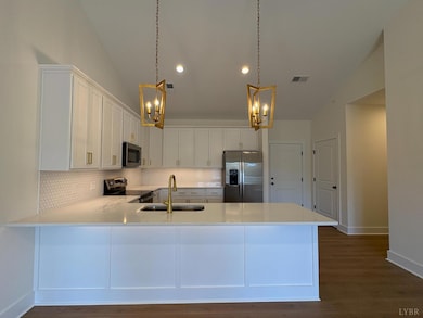 420 Capstone Dr unit 301, Lynchburg, VA 24502 - photo 3