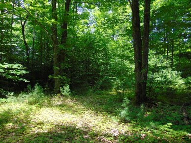 Small Clearing