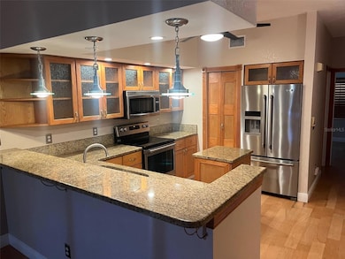 4638 Mirabella Ct, Saint Pete Beach, FL 33706 - photo 3