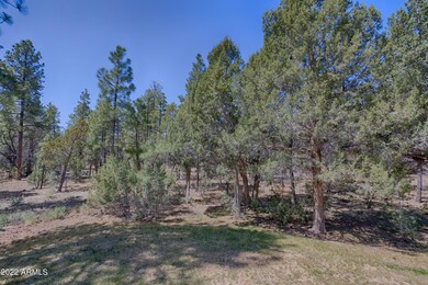 AP1A6783_HDR