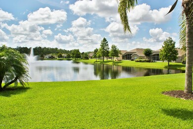 Lake view