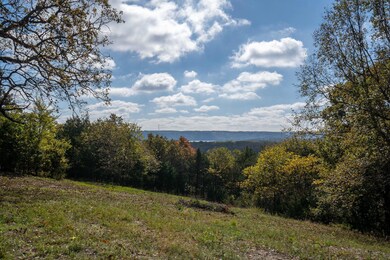 4 Acres Fox Fire Knoll Dr, Kimberling City, MO 65686 - photo 3