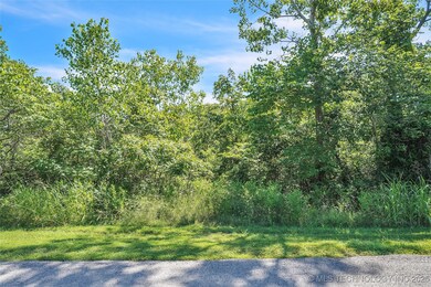 0003 Marina Dr, Skiatook, OK 74070 - photo 5