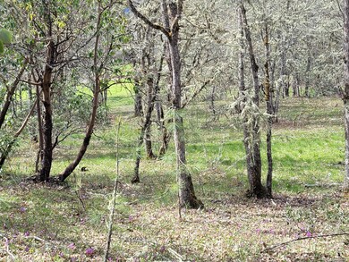 6998 Lower River Rd, Grants Pass, OR 97526 - photo 2