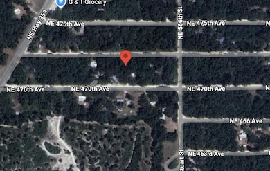 0 NE 472nd Ave, Old Town, FL 32680 - photo 5