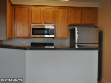 2497 Angeline Dr unit 301, Herndon, VA 20171 - photo 3